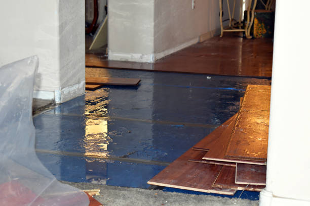 Professional Basement Flood Cleanup technician working in De Soto, KS